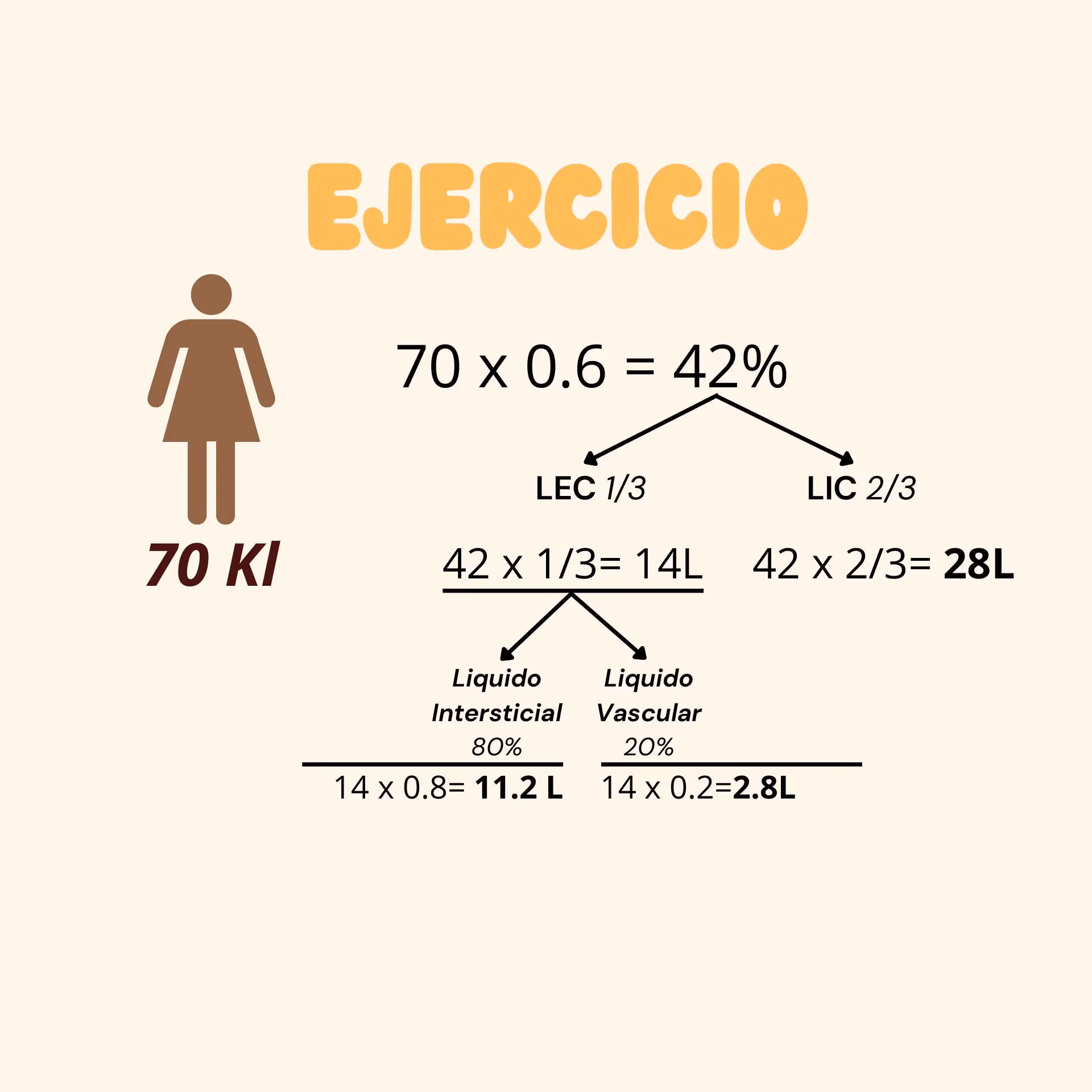 ¿Cuánto porcentaje de agua corporal debo tener?