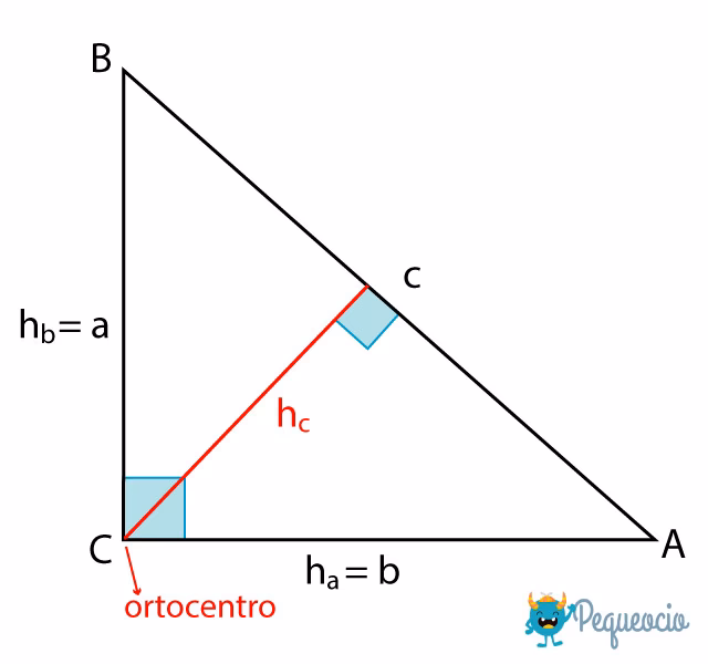 ¿Cuál es el baricentro de un triángulo recto?