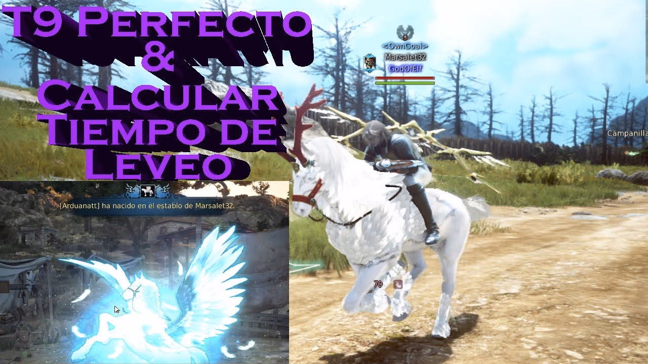 ¿Dónde encontrar caballos en BDO?