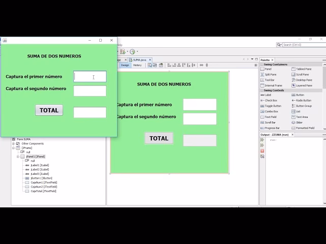 ¿Qué es el botón de opción en Netbeans?