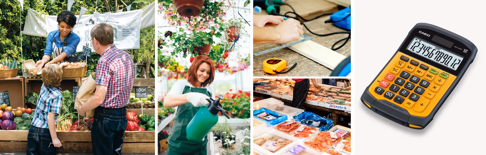 ¿Qué es un Proctor al 95?