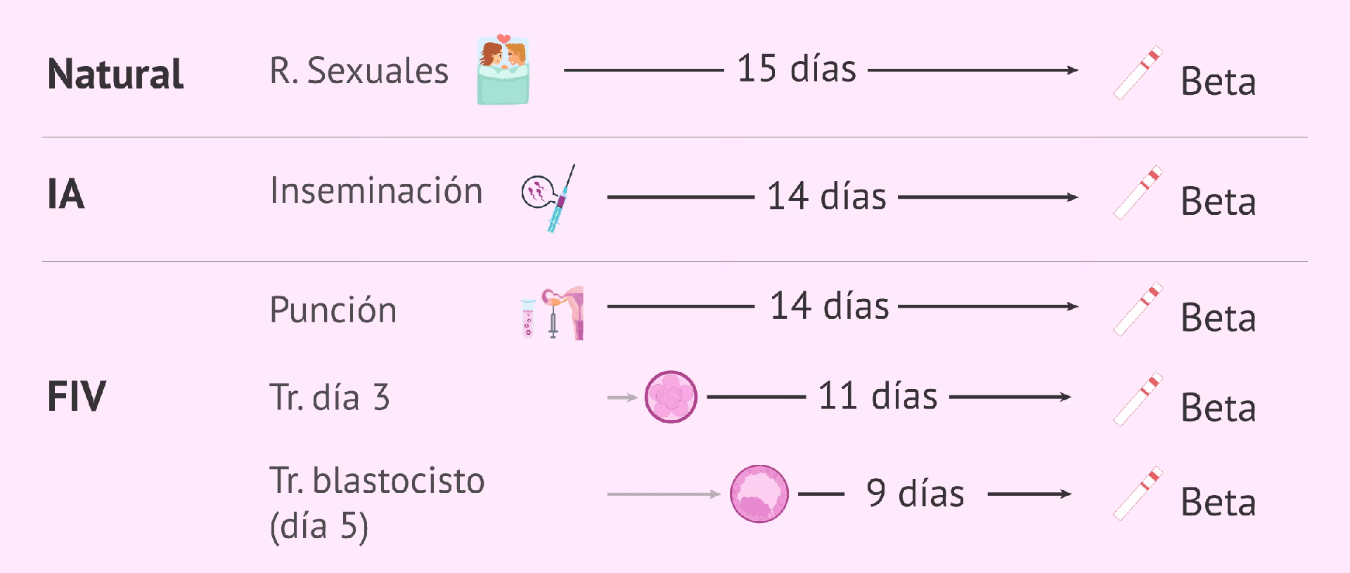 ¿Cuántas semanas tengo según mi beta?