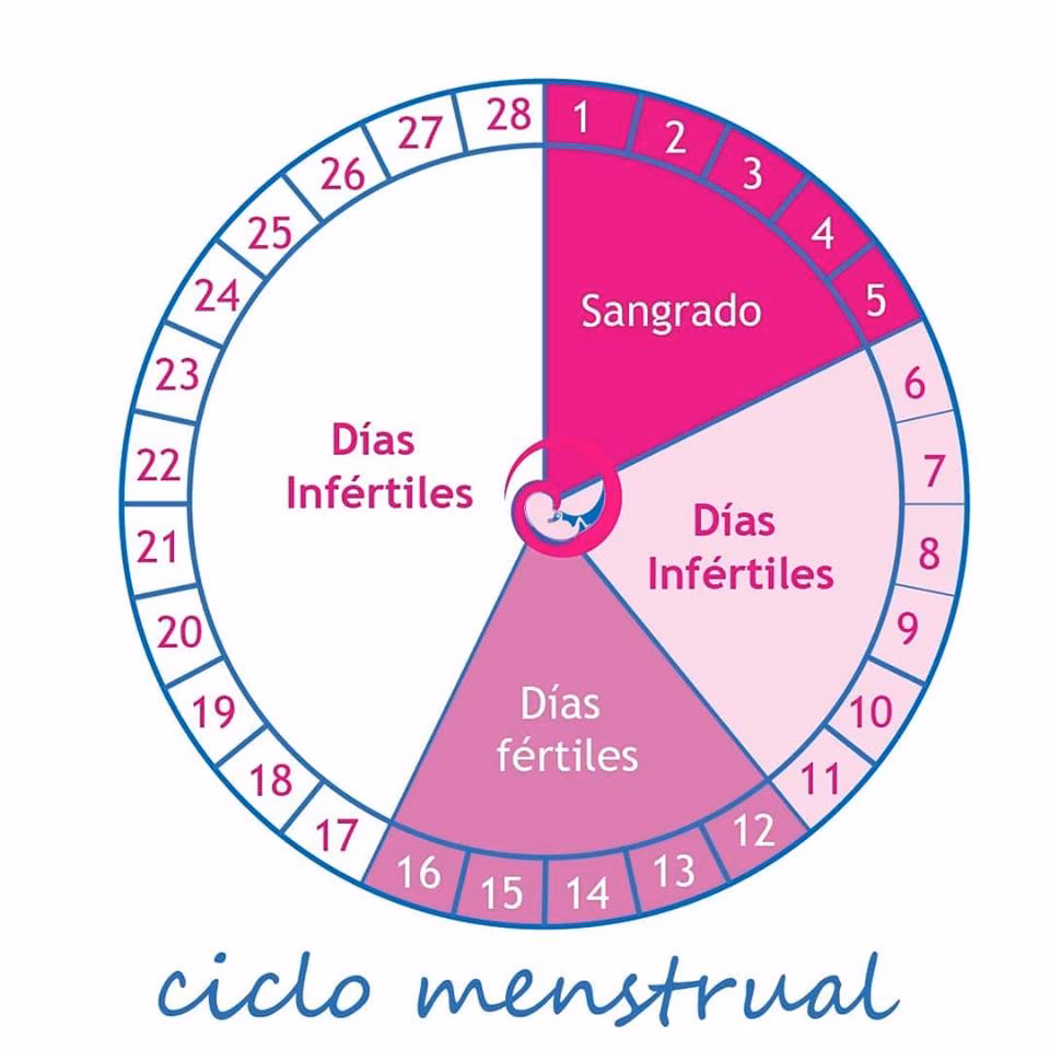 ¿Cómo saber cuántos días me baja la regla?