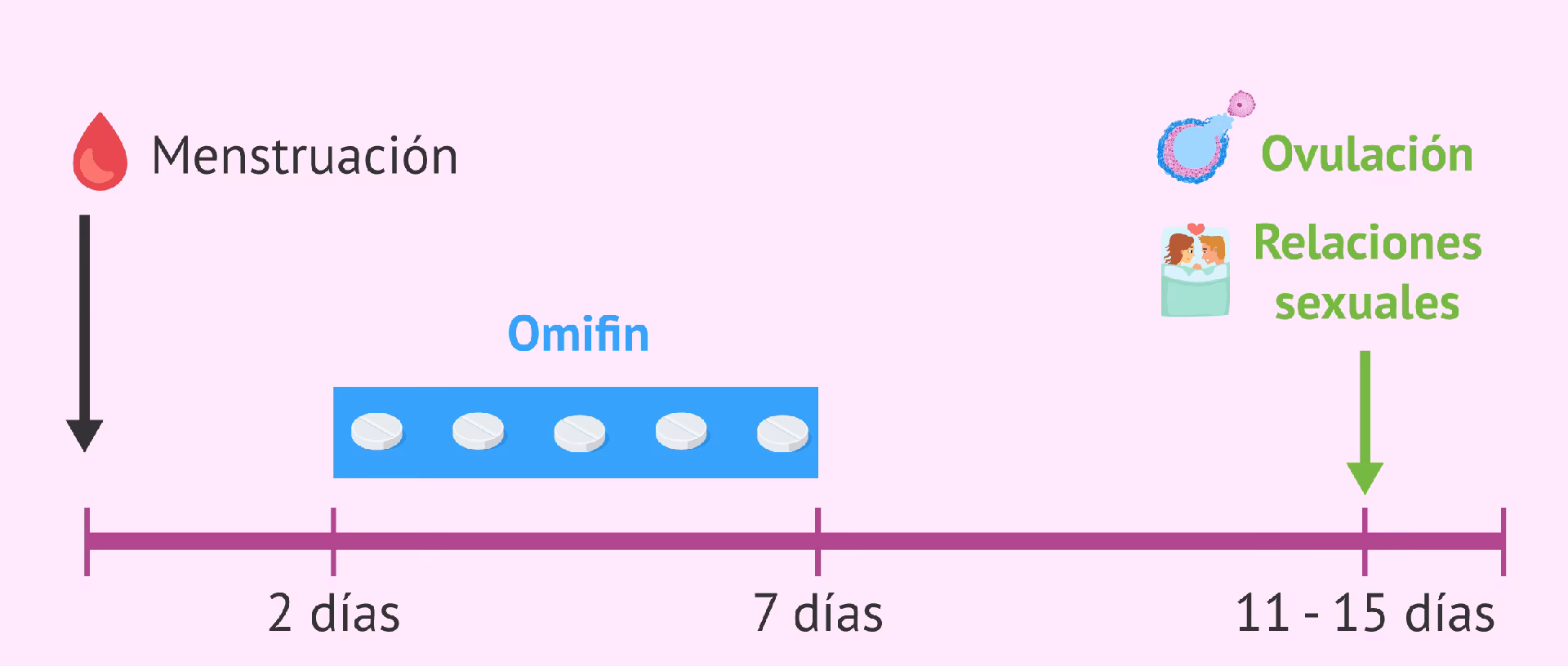 ¿Cuántos días después de tomar clomifeno se ovula?