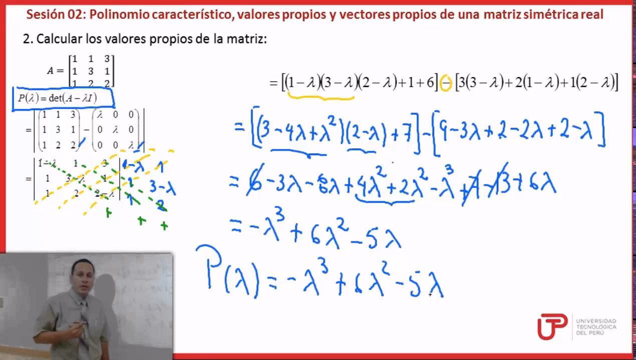 ¿Qué es el polinomio característico de un sistema?