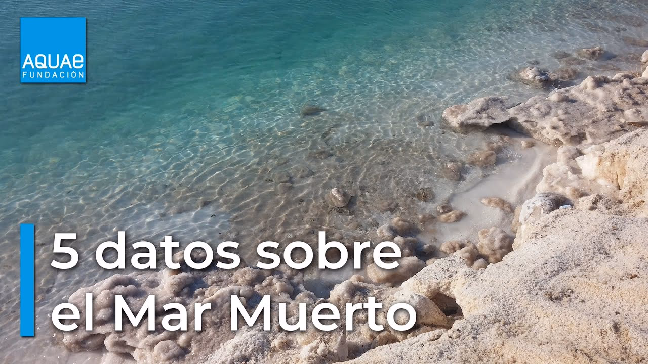 ¿Cuántos gramos de sal por litro de agua tiene el Mar Muerto?