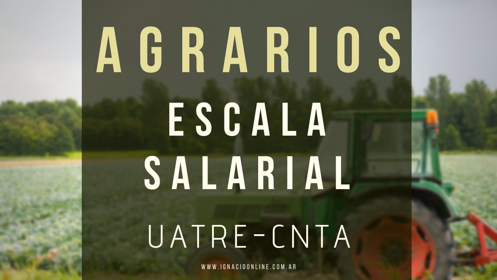 ¿Cuánto está el día de trabajo de peón rural?