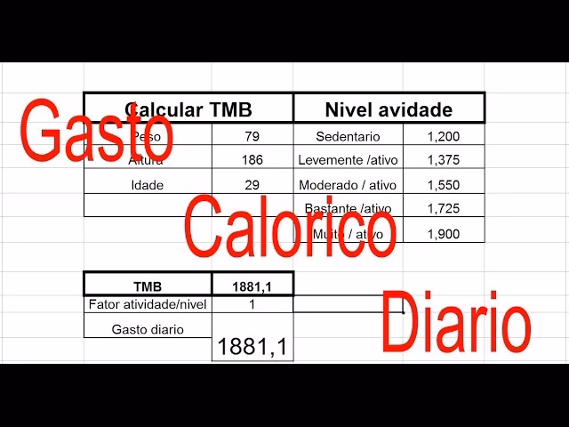 ¿Cuántas kcal gasto al día?