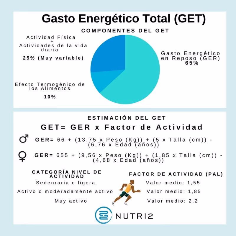 ¿Cómo puedo calcular mi gasto energético diario?