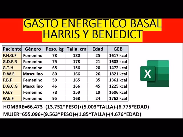 ¿Cómo puedo calcular mi gasto energético diario?