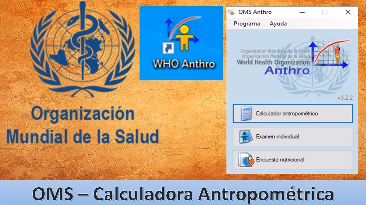 ¿Qué calcula la OMS?