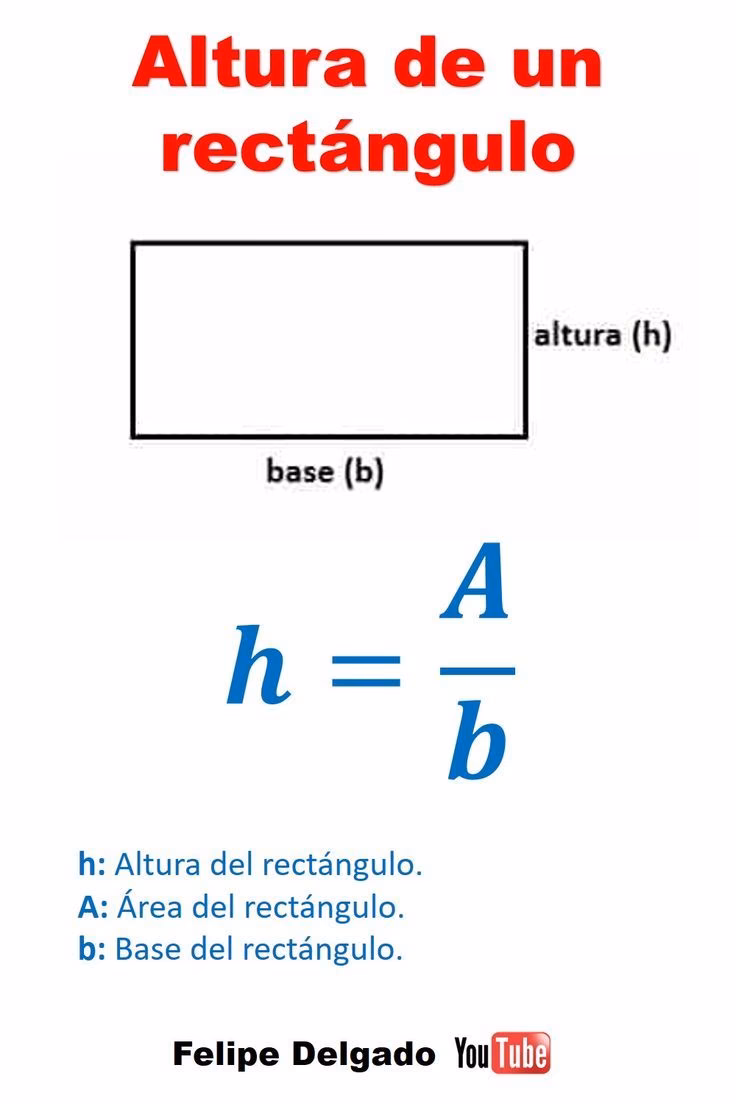 ¿Cual es la altura del rectángulo?