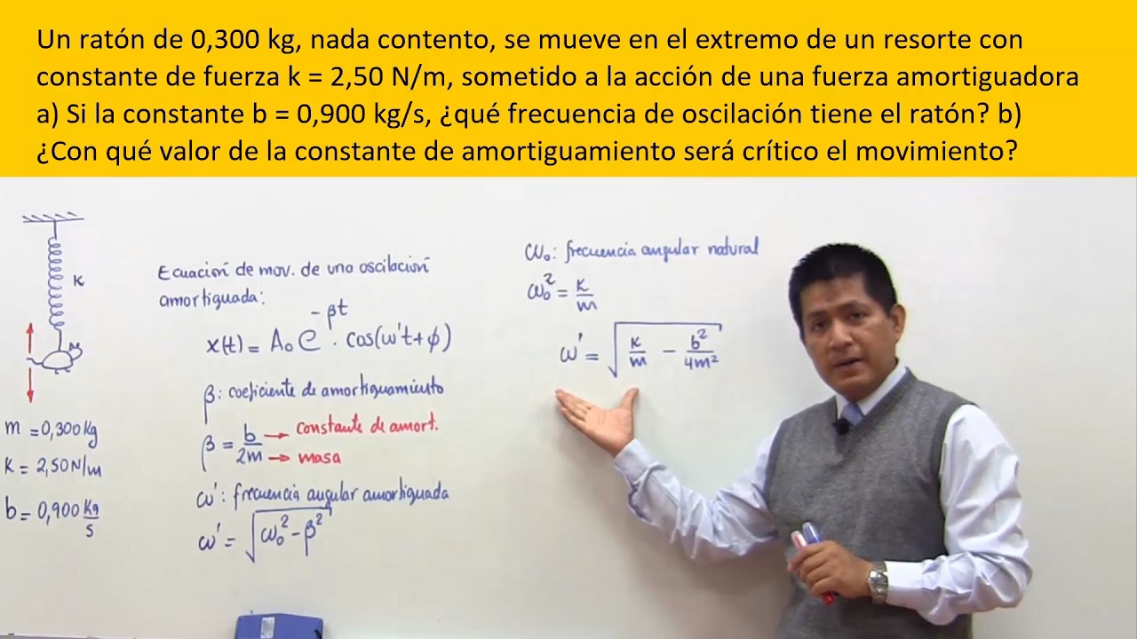 ¿Cuál es la fórmula del amortiguamiento?