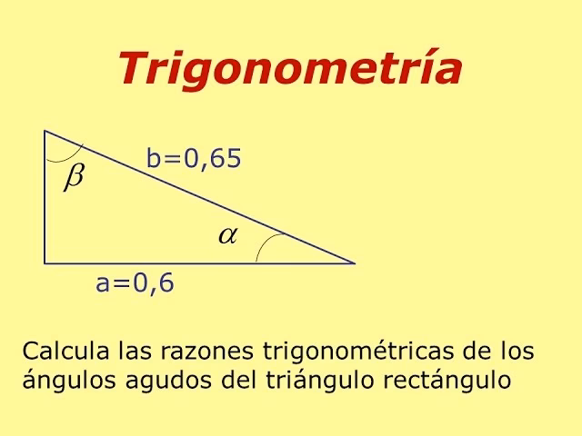 ¿Cómo sacar los ángulos de cualquier figura?