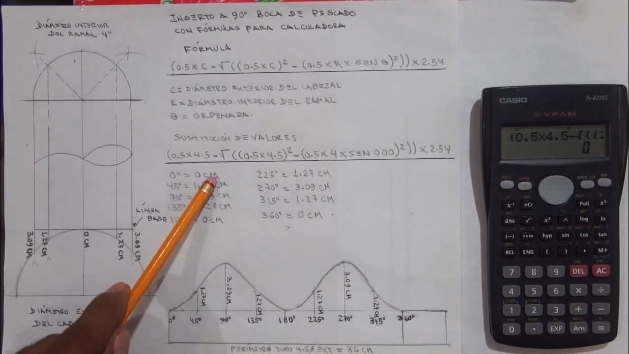 ¿Cómo calcular la cantidad de pescado por persona?