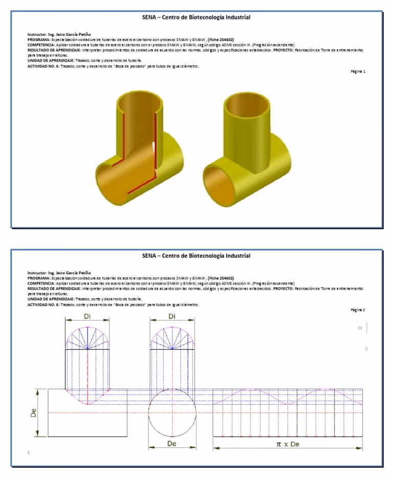 ¿Cómo es la boca de un pescado?