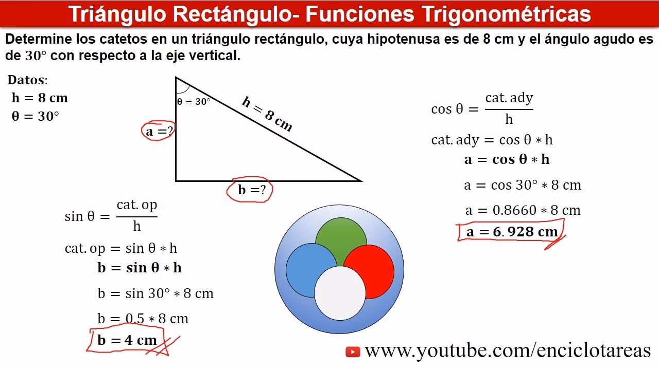 ¿Cómo se determinan los catetos de un triángulo?