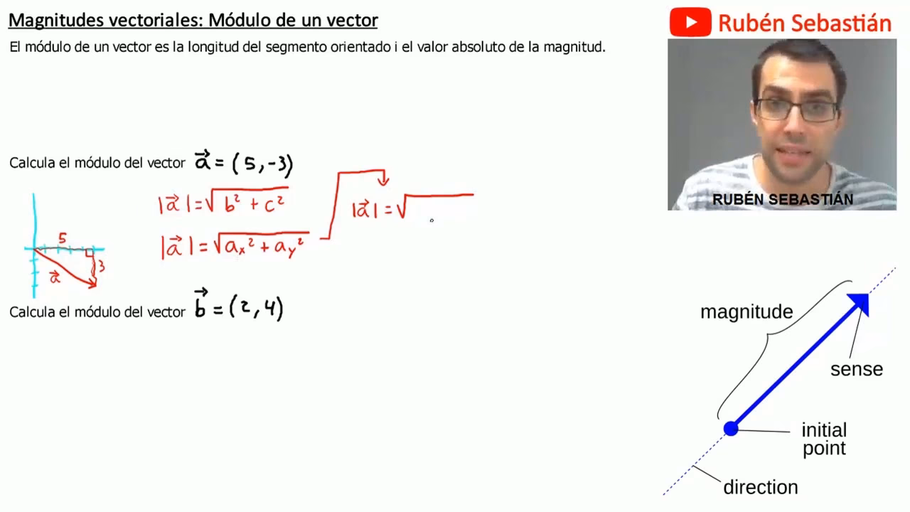 ¿Cómo calcular las componentes de un vector teniendo el módulo?