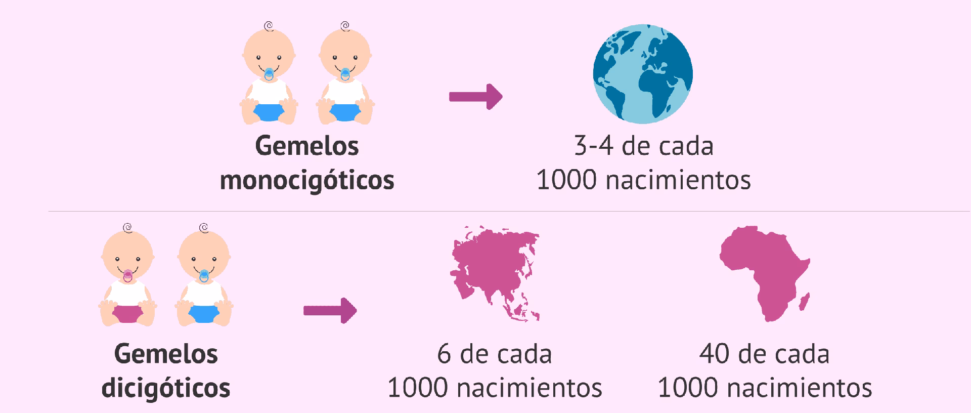 ¿Cómo ovular doble?