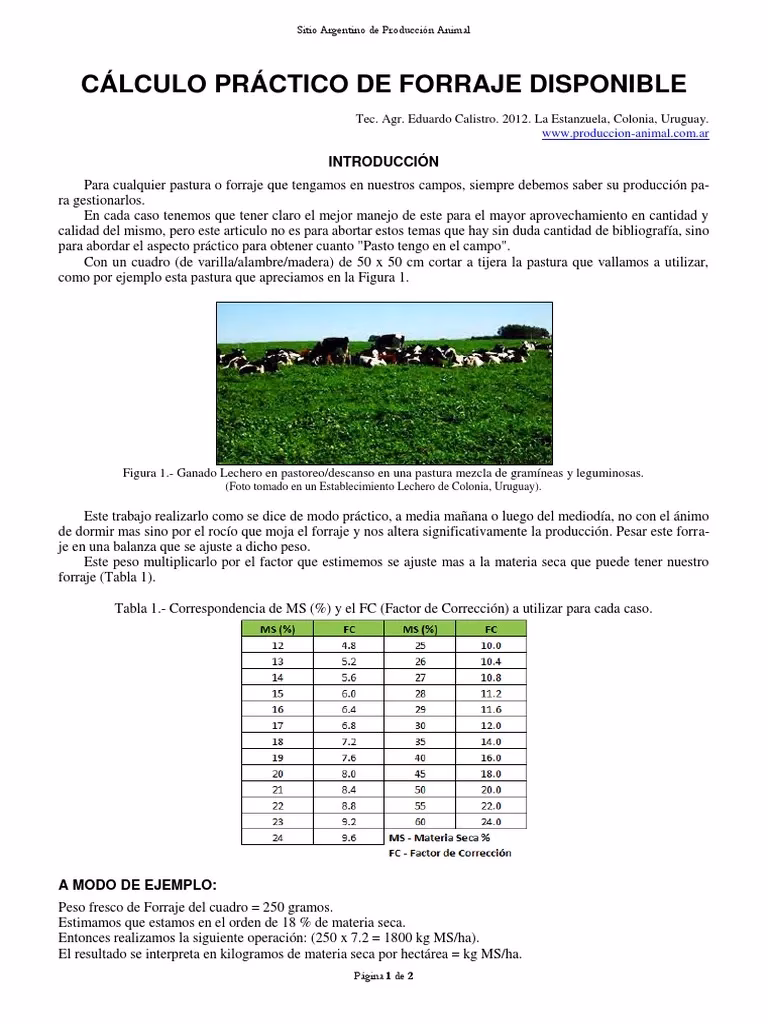 ¿Cómo se mide la productividad del pasto?