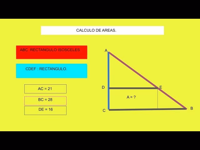 ¿Cómo encontrar un triángulo en un rectángulo?