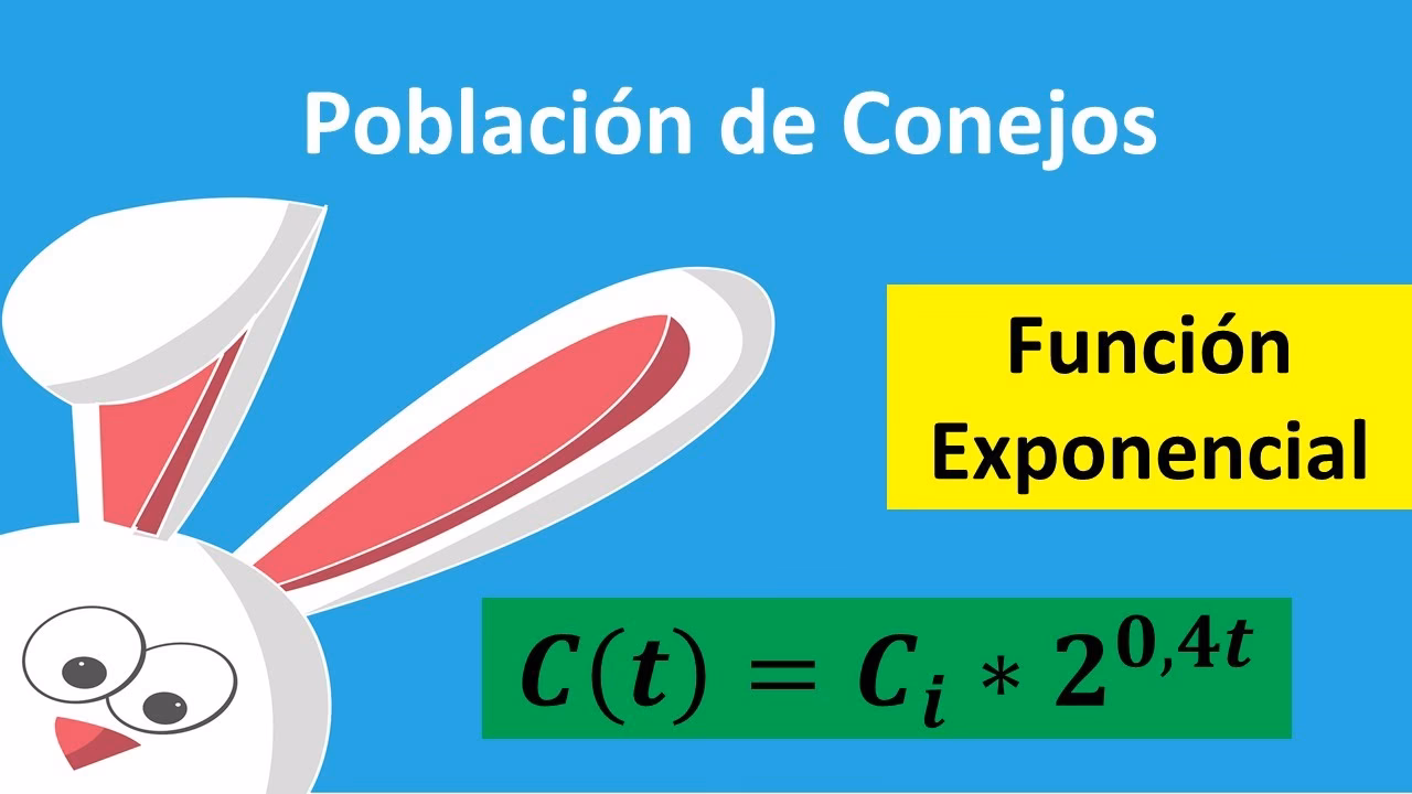 ¿Cómo saber cuánto va a crecer un conejo?