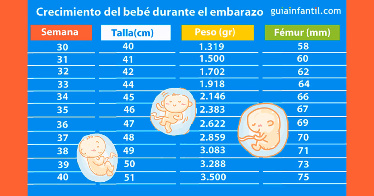¿Cuánto va a pesar mi bebé al nacer?