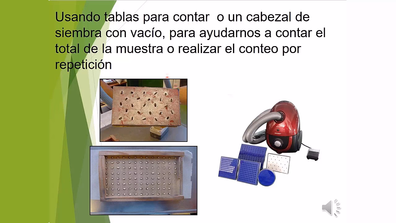 ¿Cómo se calcula el peso hectolítrico?