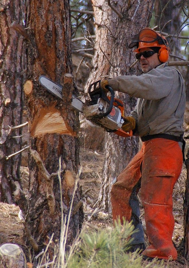 ¿Cómo sacar la medida de una cadena de motosierra?