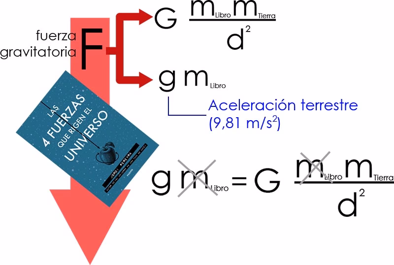 ¿Cómo calcular la g?