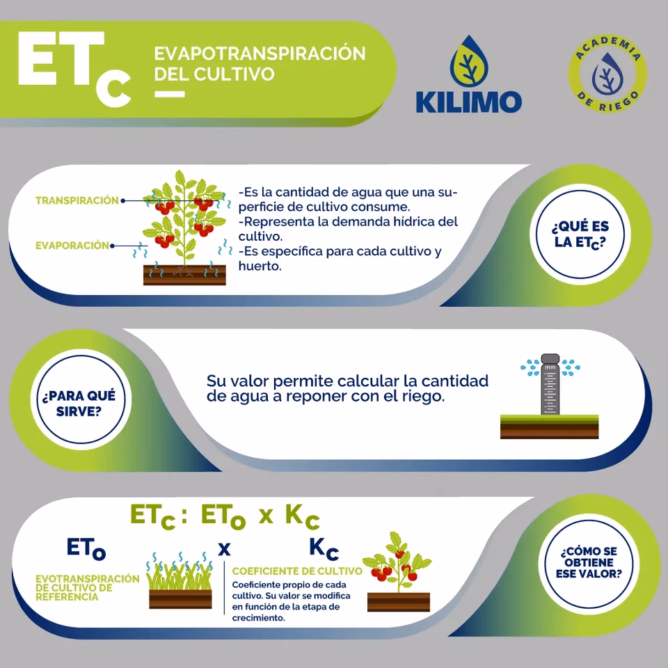 ¿Cómo se calcula la humedad ambiente?