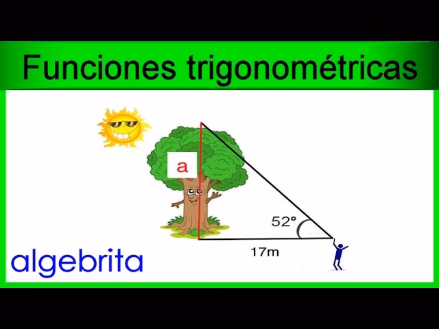 ¿Cómo calcular la distancia de un árbol?