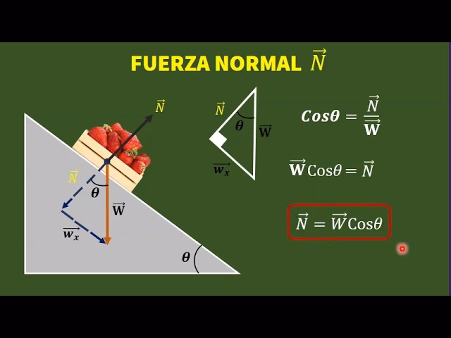 ¿Cómo se halla la reacción normal?