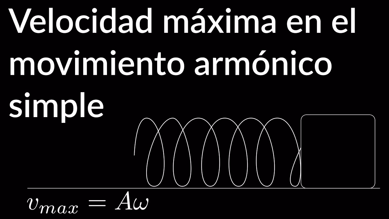¿Cómo calcular la velocidad máxima en un movimiento armónico simple?