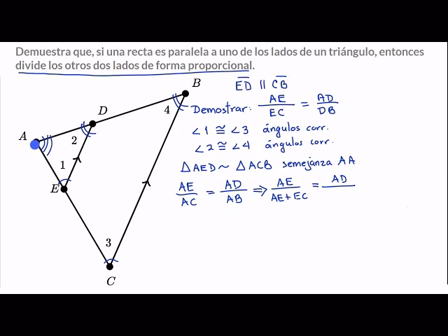 ¿Cuál es la regla para los triángulos paralelos?