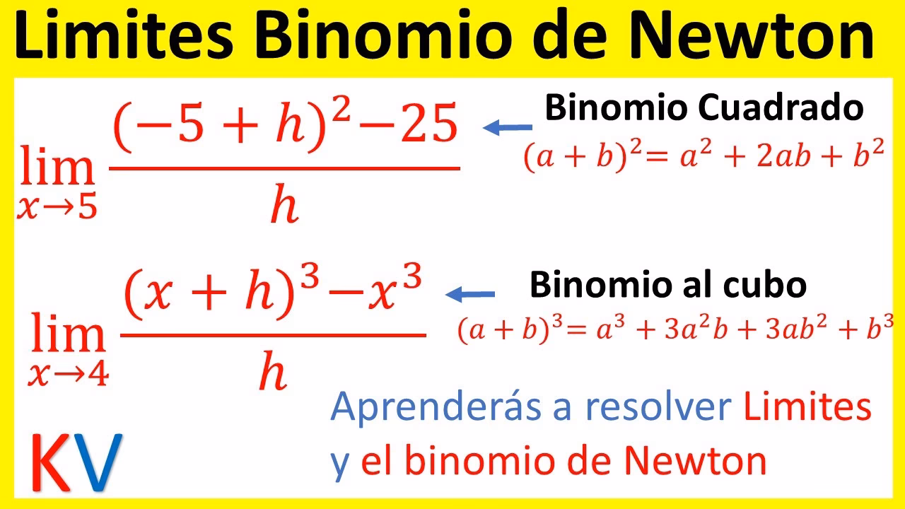 ¿Cuál es la fórmula del polinomio de Newton?