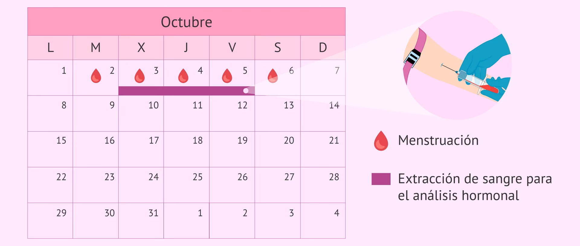 ¿Cuántos AA tiene la FSH?