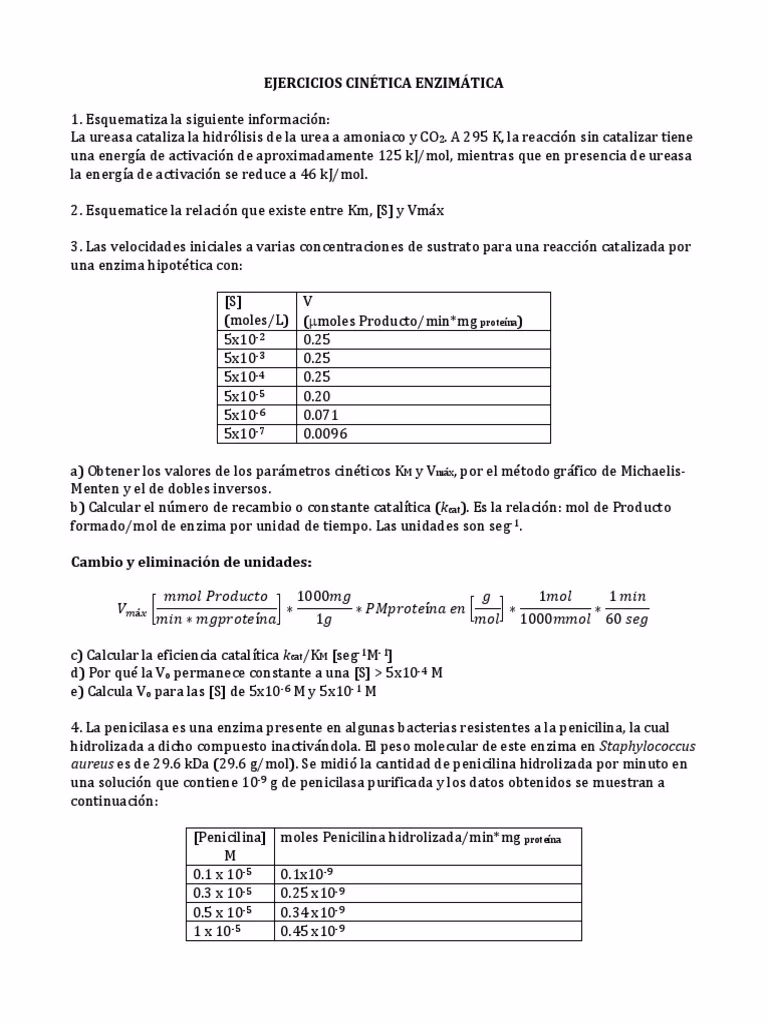 ¿Cómo se calcula el número de recambio de una enzima?