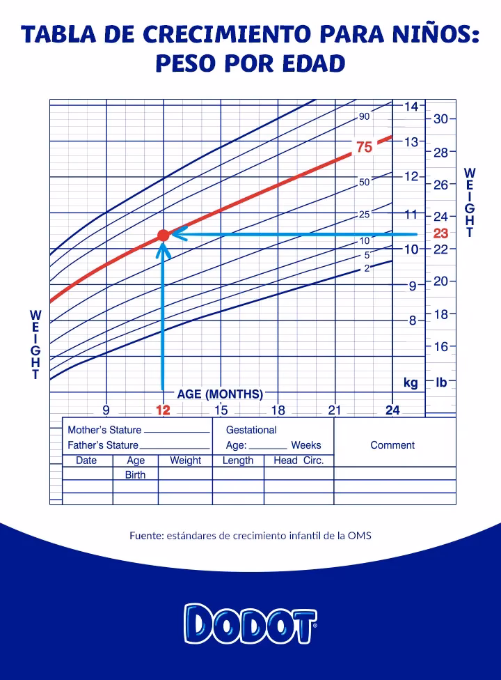 ¿Cómo calcular el percentil normal?