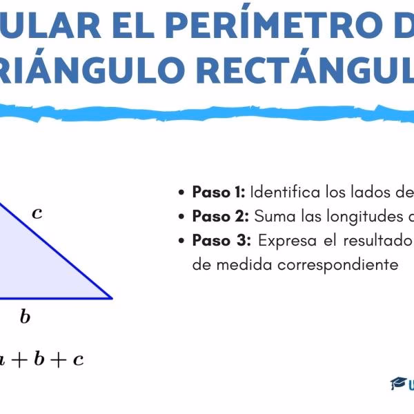 ¿Cómo sacar un perímetro de un triángulo rectángulo?