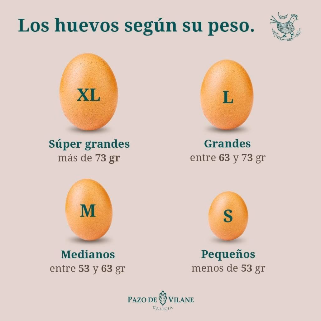 ¿Cuántos huevos son 300 g?