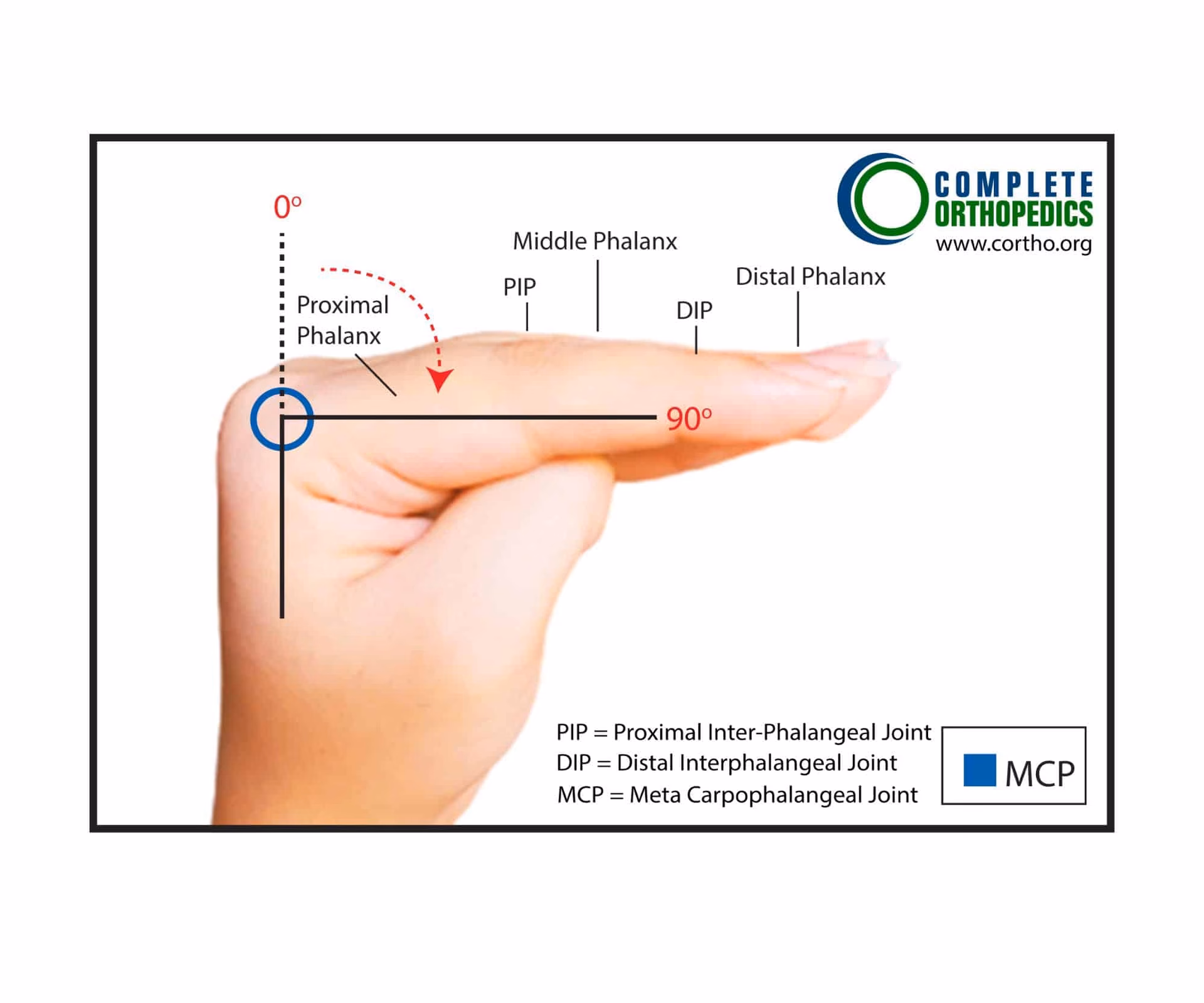 ¿Cuánto dan por el dedo meñique?