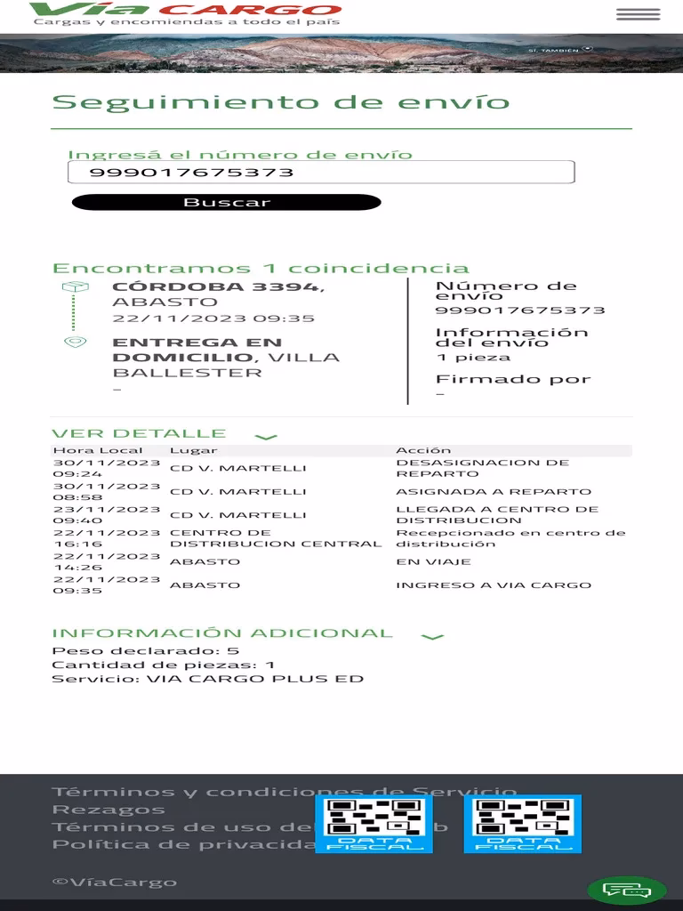 ¿Cuántos días tarda Via Cargo en entregar un paquete?