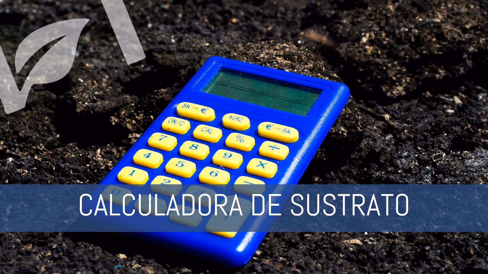 ¿Cuánta tierra para un acuario plantado?