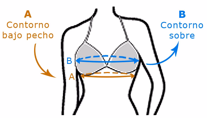 ¿Qué es más grande, 36B o 34C?