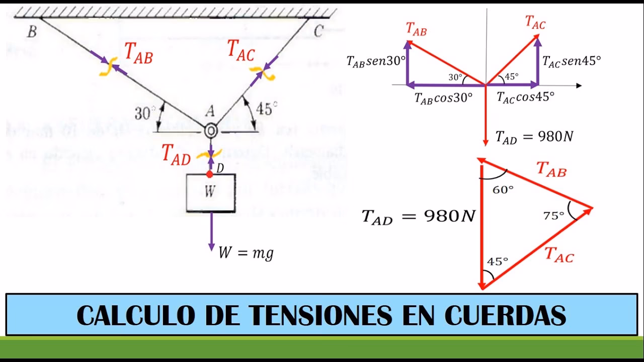 ¿Cómo medir la fuerza de tensión en una cuerda?