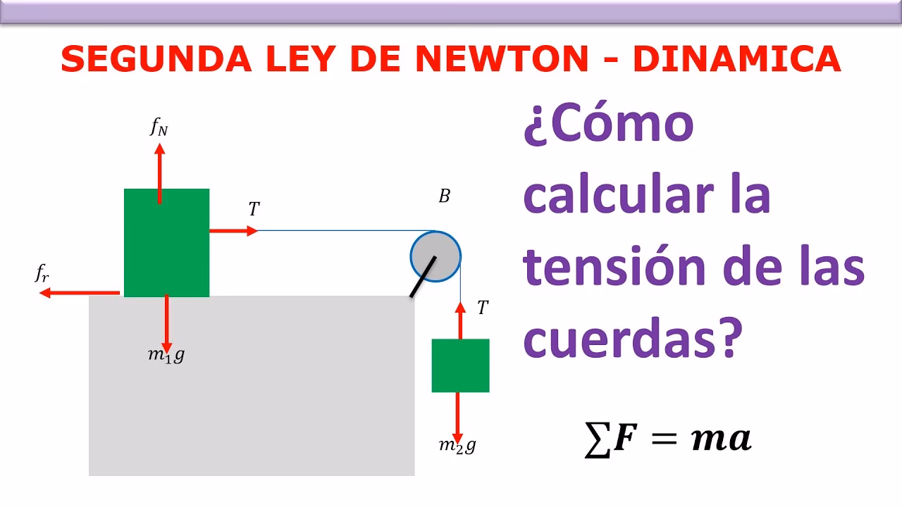 ¿Qué es la dinámica de cuerpos vinculados?