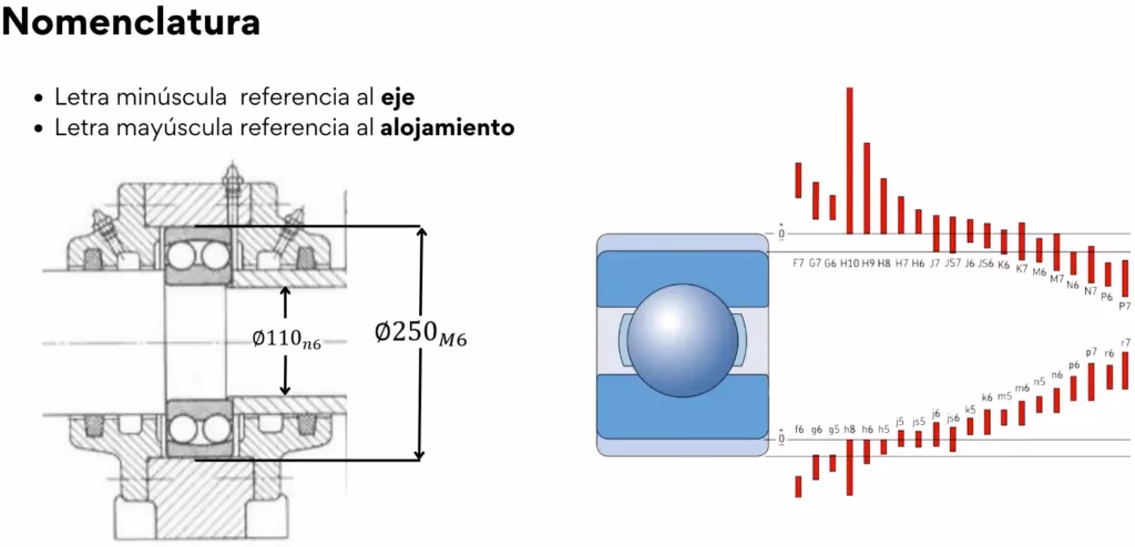 ¿Qué tolerancia lleva un rodamiento?