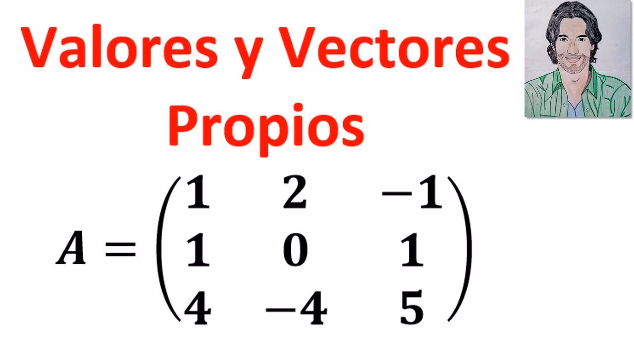 ¿Qué son los valores de una matriz?