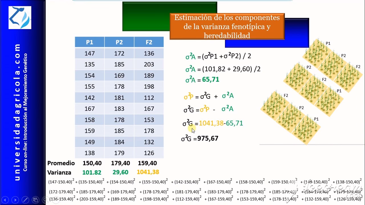 ¿Qué elementos integran la varianza ambiental?